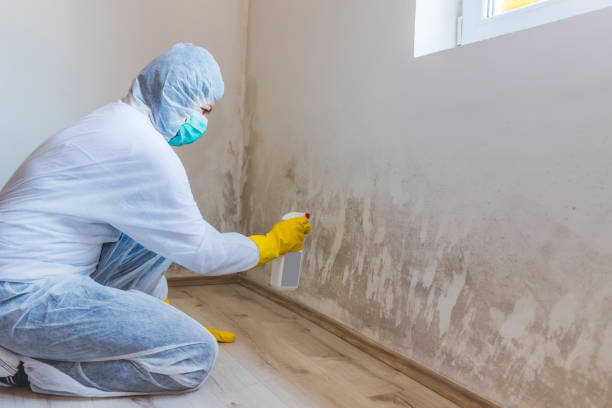Bathroom Mold Removal assessment in Christiana bathroom