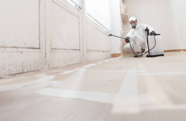 Black mold remediation team in Christiana